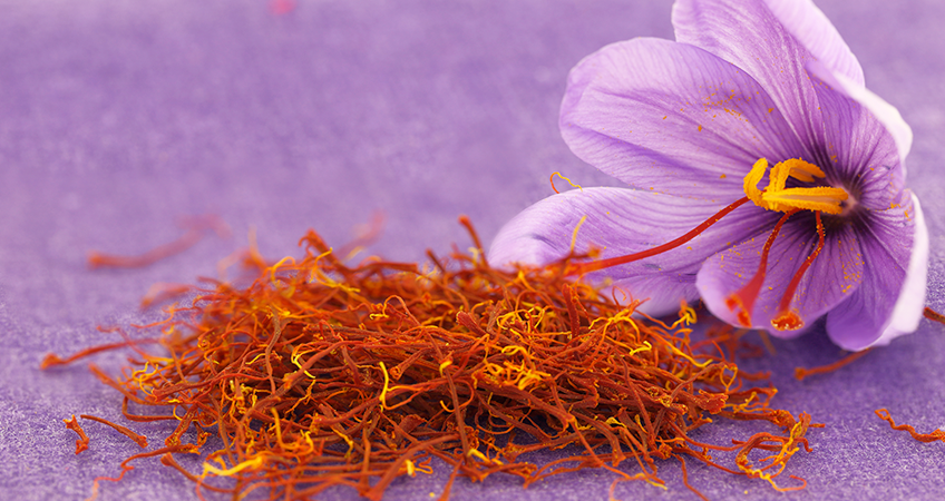 saffron-yield-848x450 Promoting Health and Wellbeing with Reiki and Other Holistic Practices - Inspirit Studios
